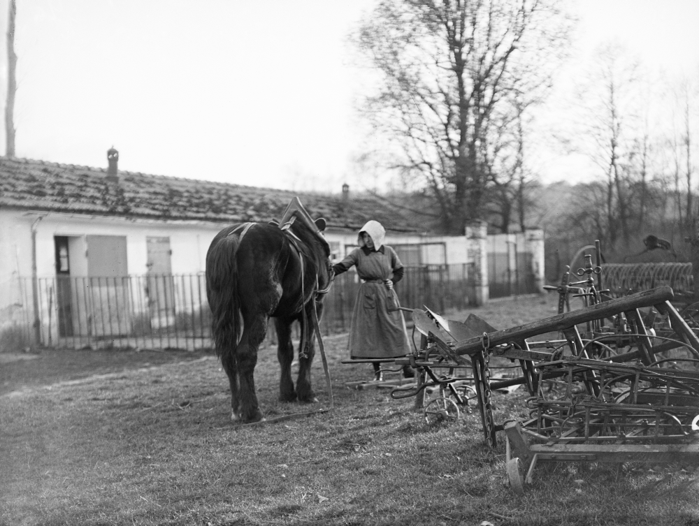 Légende ci-après