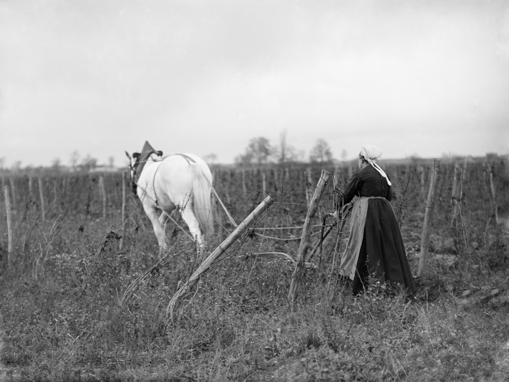 Légende ci-après