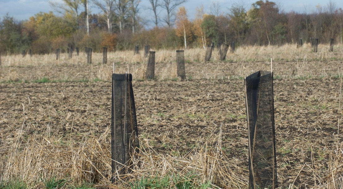 Crédit ci-après