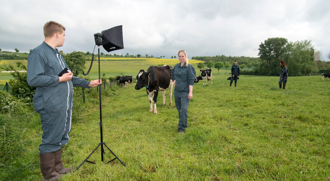 Elèves se prenant en photo dans un champ parmi des vaches