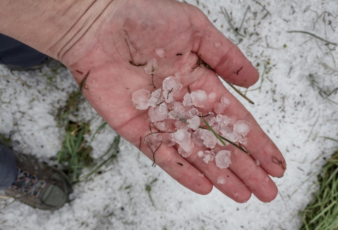 Grêlons prélevés dans le Doubs (Saône)