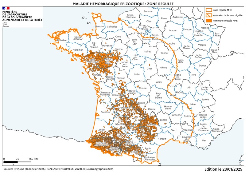 Cartographie de la zone réglementée au titre de la MHE à partir des foyers du sud-ouest (à la date du 23 janvier 2025)