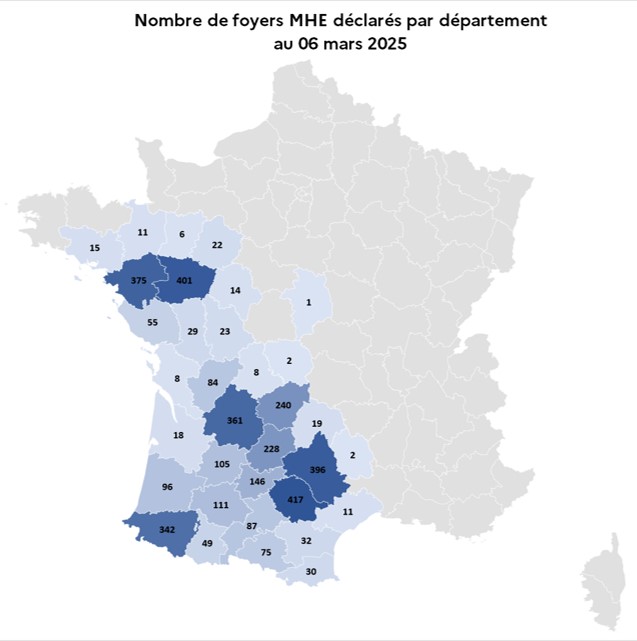 Nombre de foyers MHE déclarés par département au 6 mars 2025