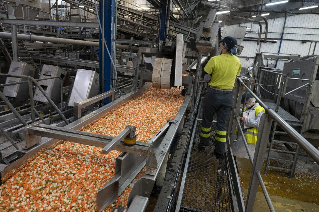 Boîtes de conserve dans une usine agroalimentaire