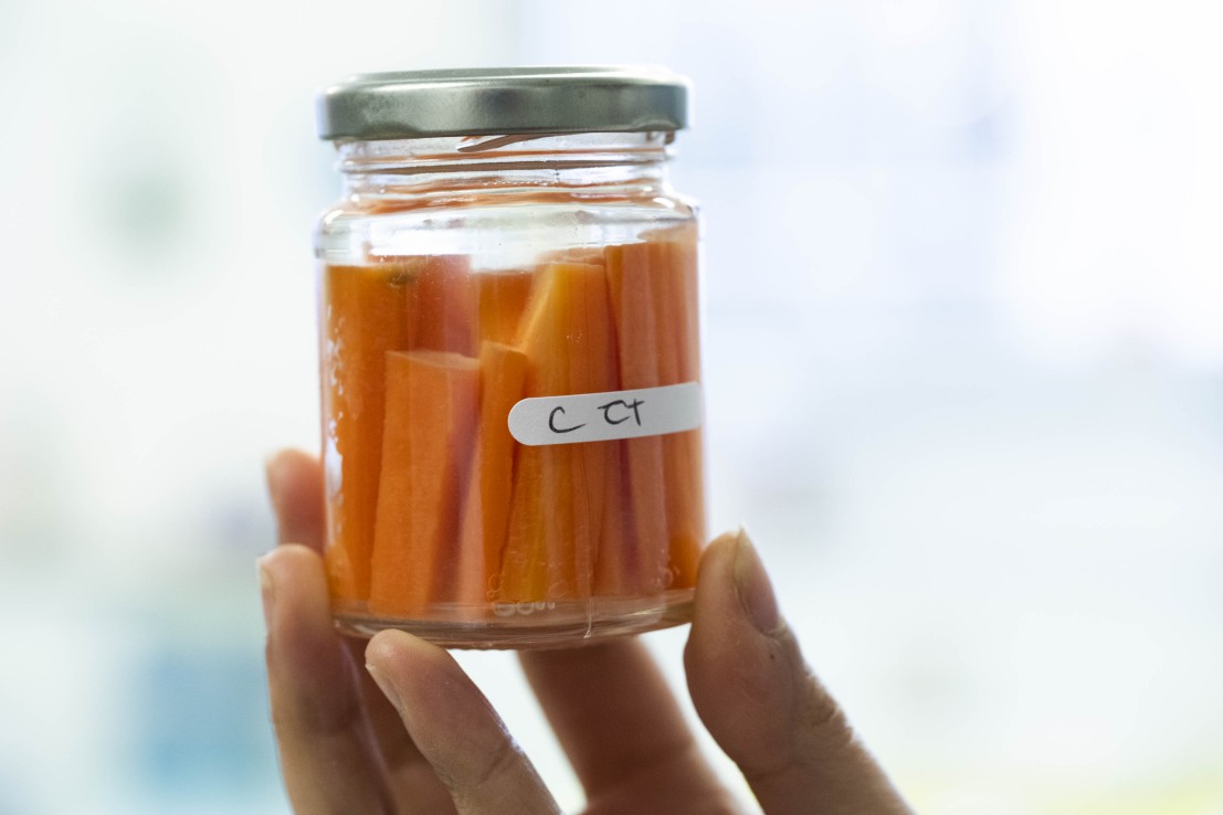 Bocal avec des carottes fermentées