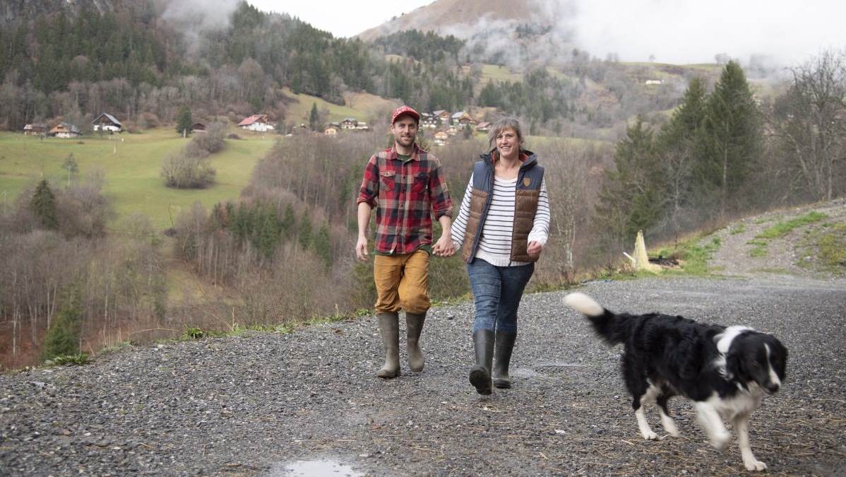 Eleveurs de chèvres devant le massif des Aravis