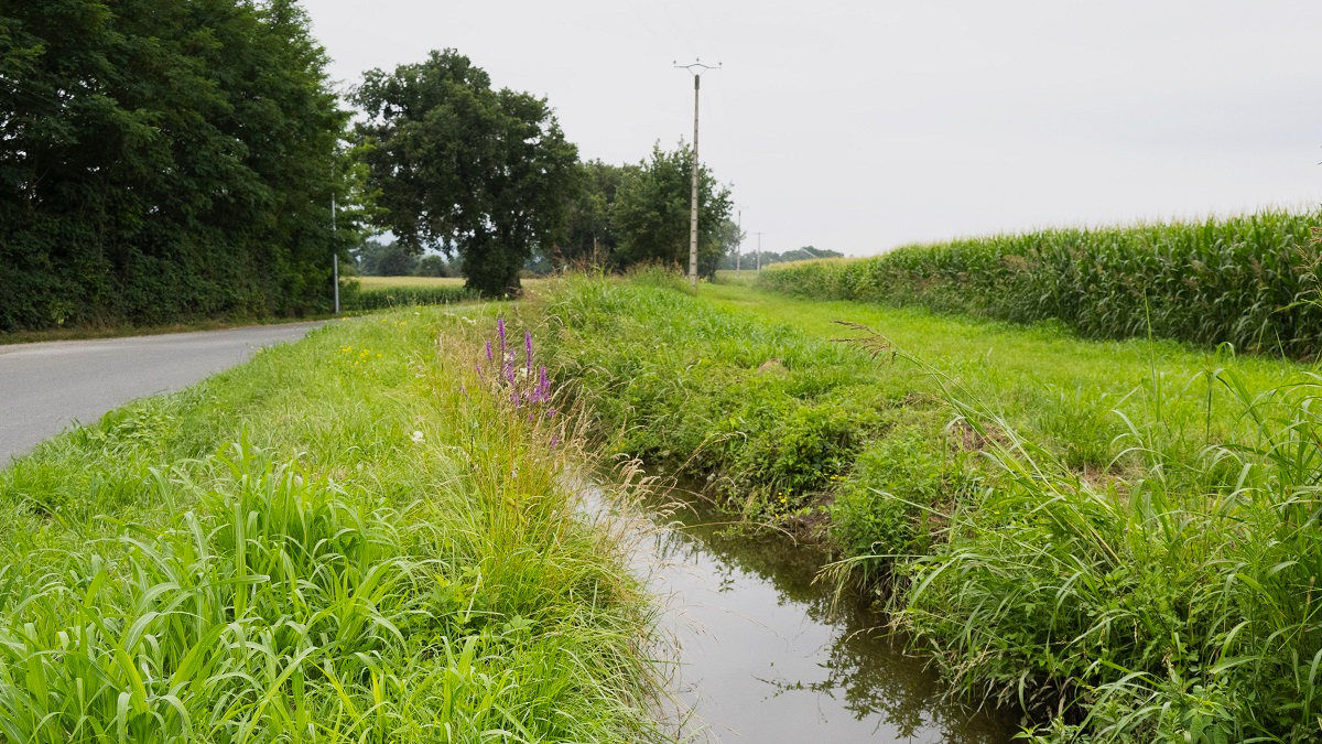 Canal secondaire de réinfiltration dans la nappe à Cazères (31)