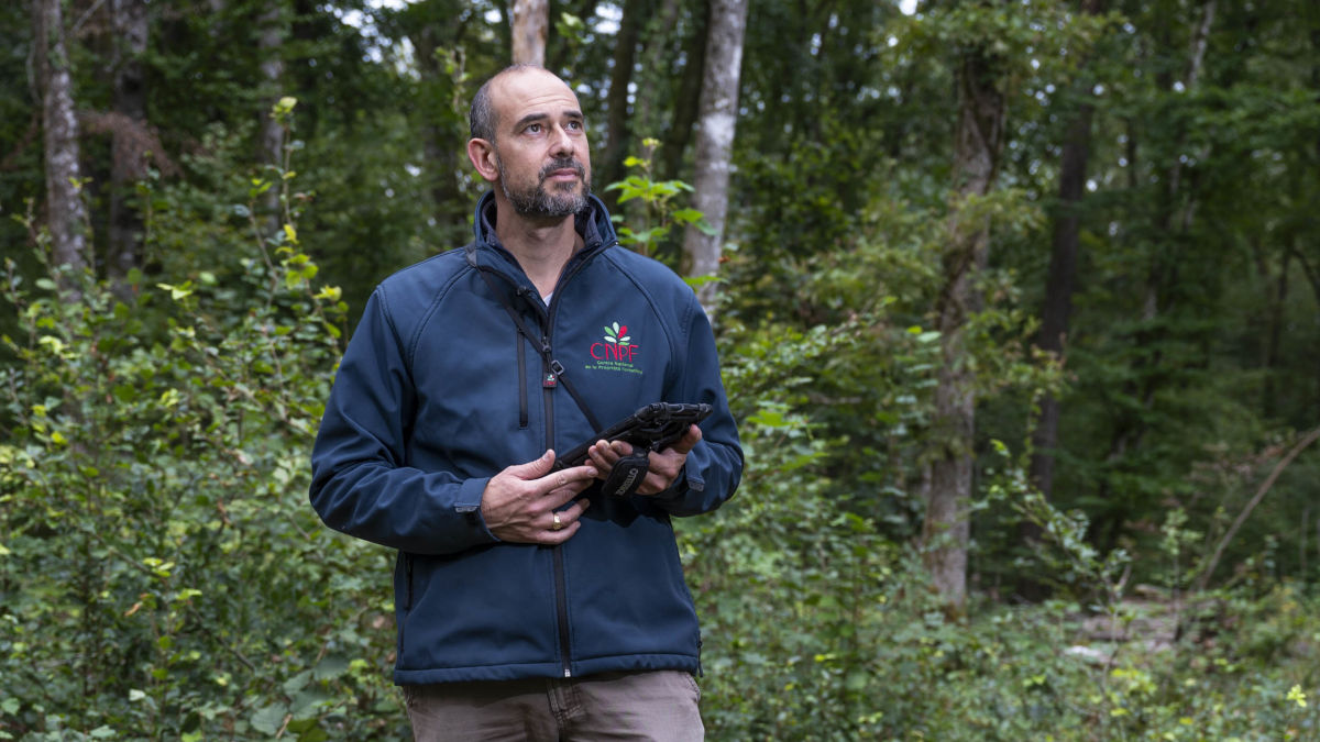 Alexandre Guerrier, correspondant observateur au Centre régional de la propriété forestière (CRPF).