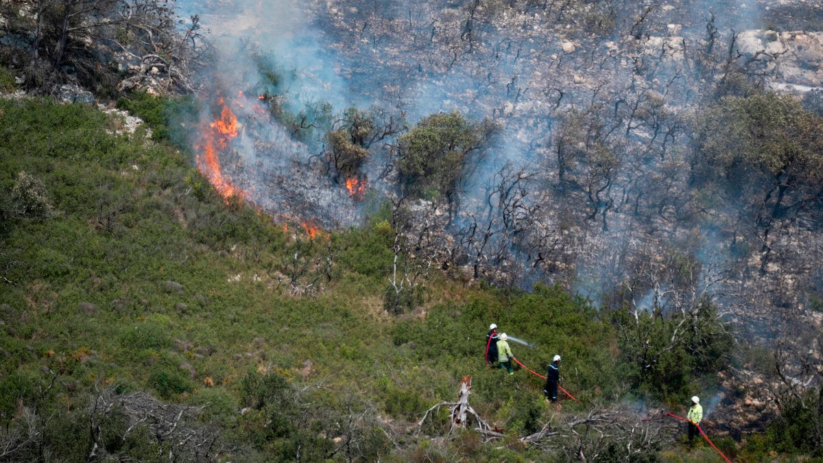 Pompiers en action sur un feu de forêt