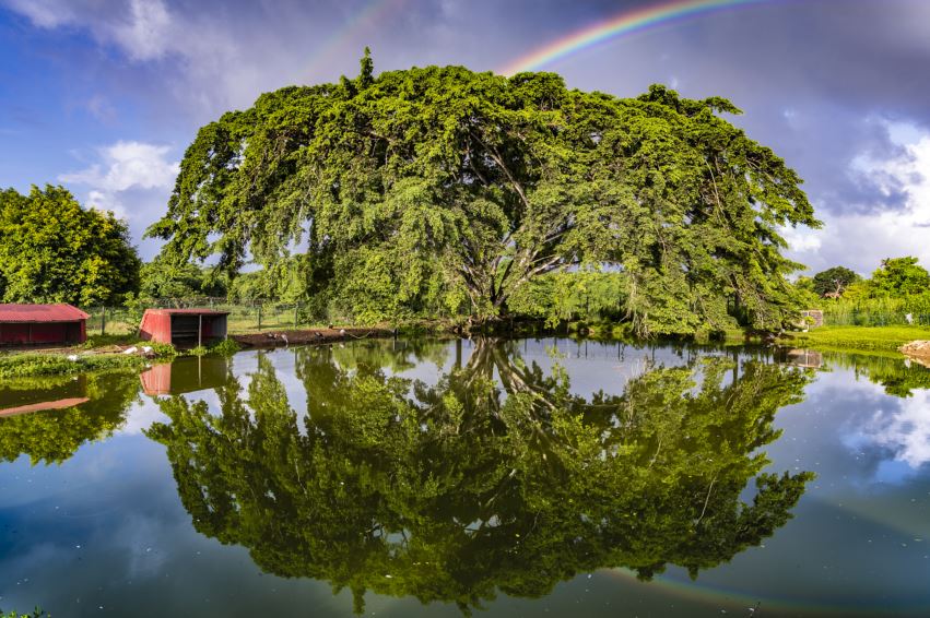 Photo du Fiscus de Jarry