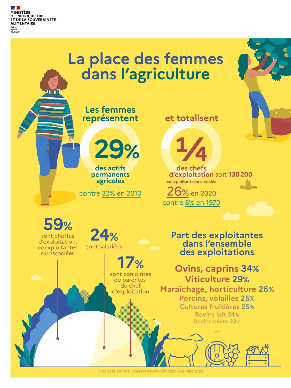 Infographie - La place des femmes dans l'agriculture