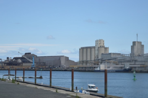 Port commercial de Bayonne, en face de la forêt de Lazaret 