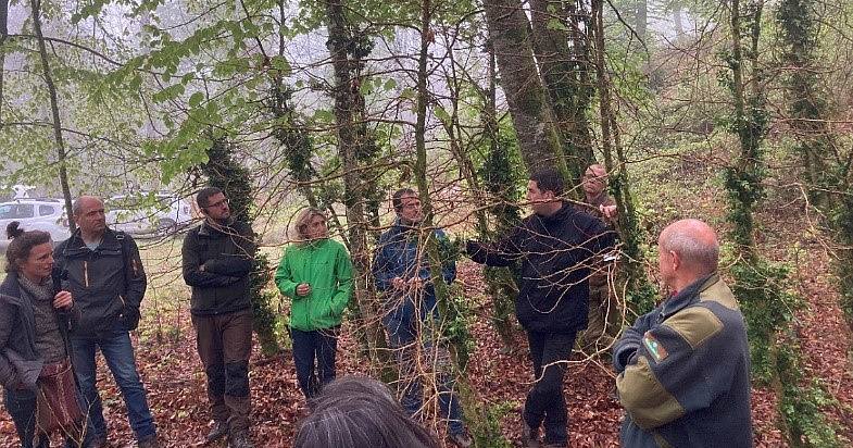 Rencontre de forestiers de plusieurs pays en forêt