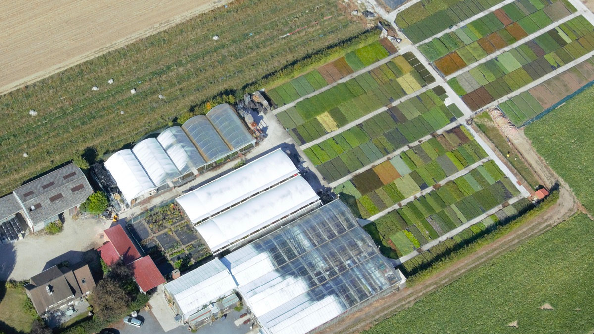 Les Pépinières de Landas vues du ciel