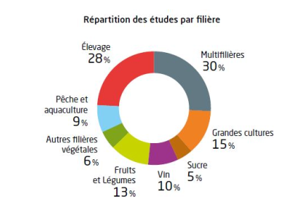 Répartition des études par filières