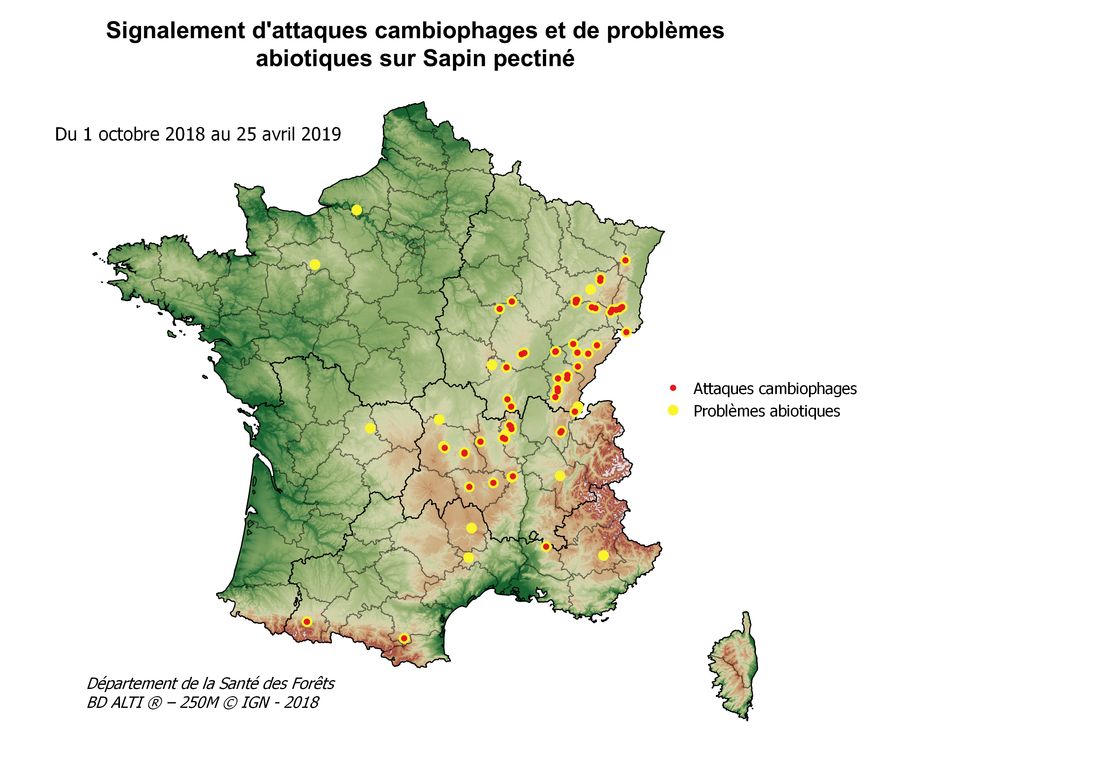 Crédit ci-après