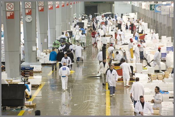 Rungis : le plus grand marché du monde fête ses 45 ans © Min.agriculture