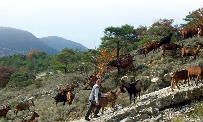 Alim’agri : l’élevage dans la peau © Min.agri.fr