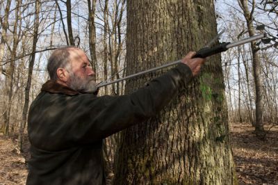 Forestier mésurant le diamètre d'un chêne avec un compas. © Cheick Saidou/Min.Agri.Fr.