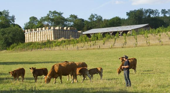 ©Xavier.Remongin/Min.Agri.Fr