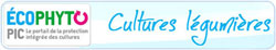 Plateforme Cultures Légumières