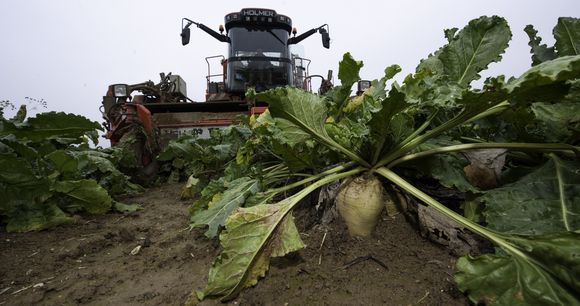 ©Pascal.Xicluna/Min.Agri.Fr