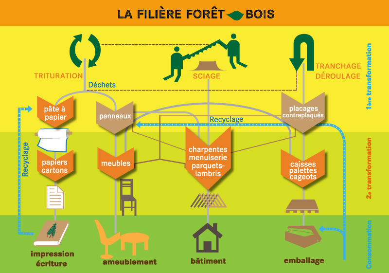 La filière forêt bois