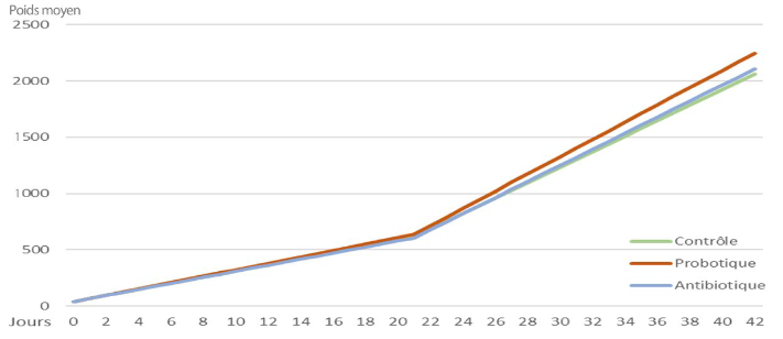 Effet d’un ensemble de probiotiques sur le gain moyen quotidien (en gramme) lors de la croissance de poulets de chair à 42 jours