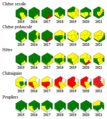 Évolution de la santé des forêts