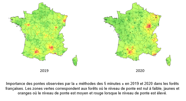 Carte de France présentant les lieux de présence du Bombyx disparate