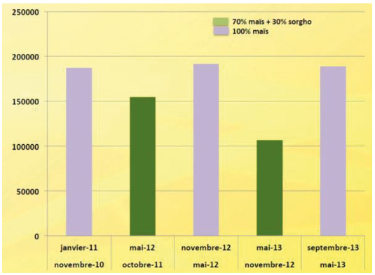 Influence de l’ajout de sorgho à la ration sur le taux de cellules dans le lait