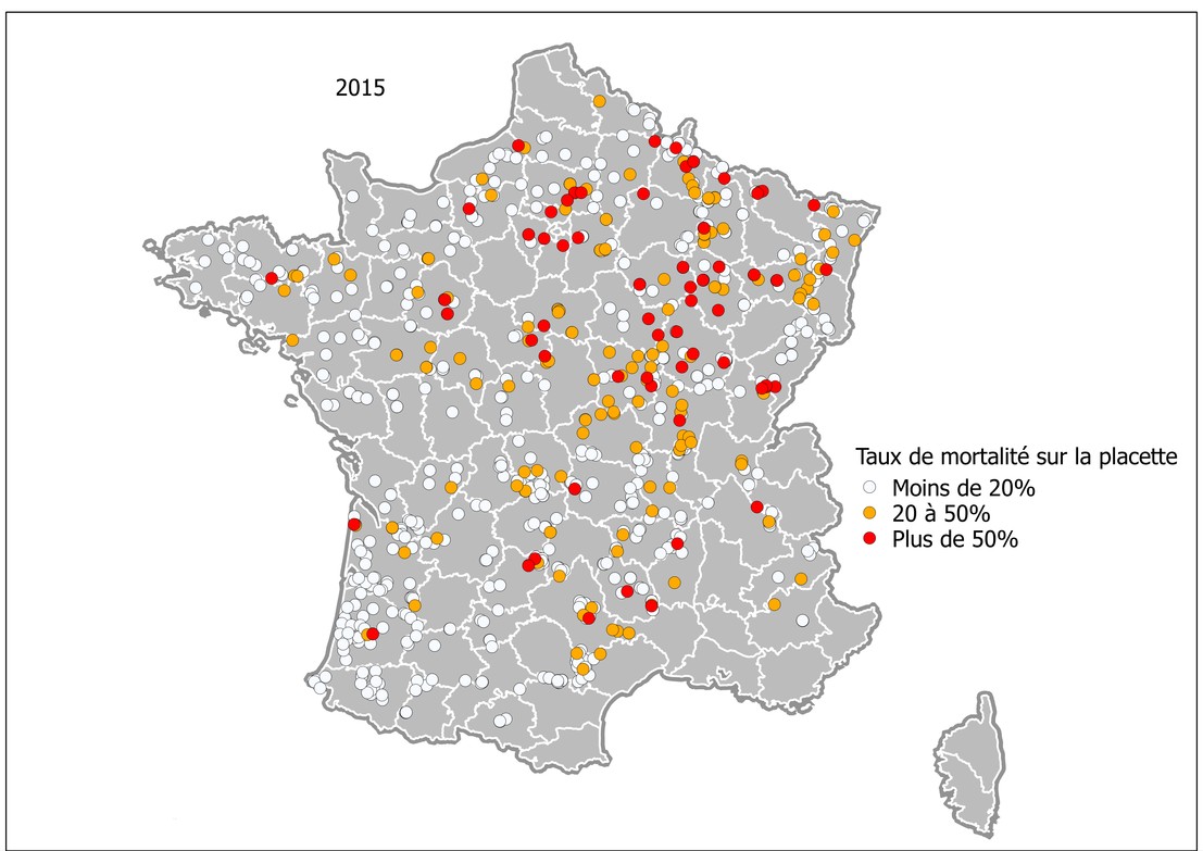 Crédit ci-après