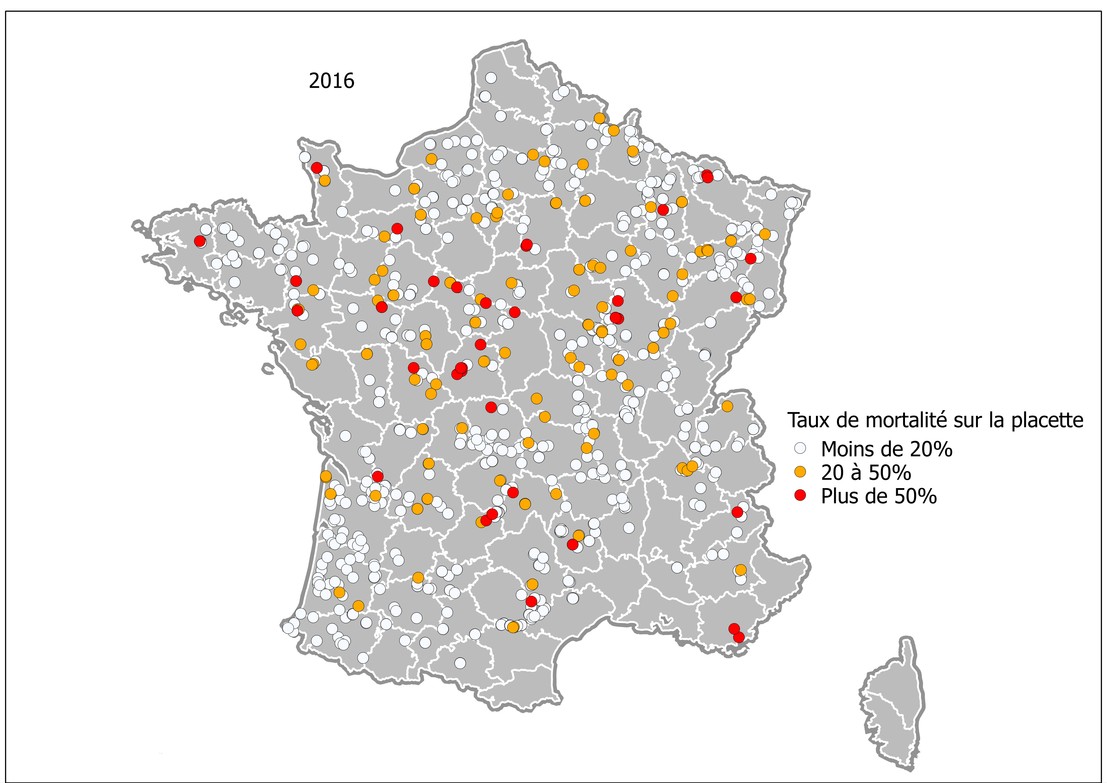 Crédit ci-après