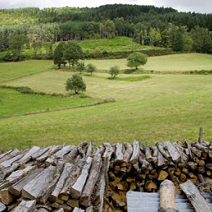 crédit ci-après