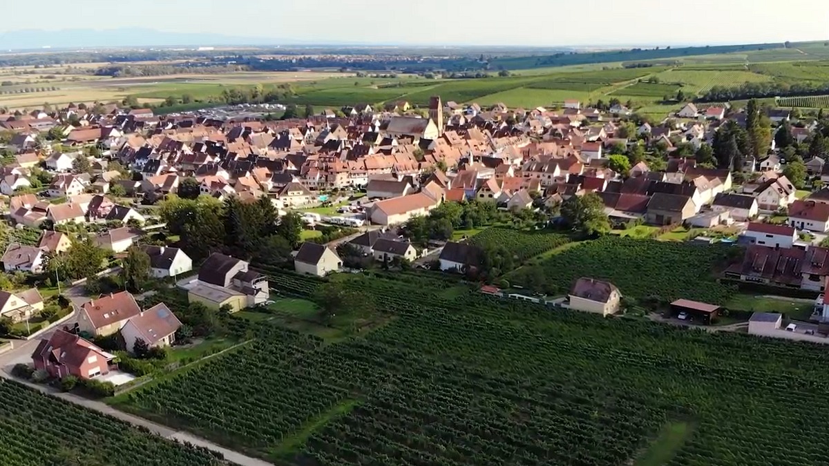 Un paysage viticole en France