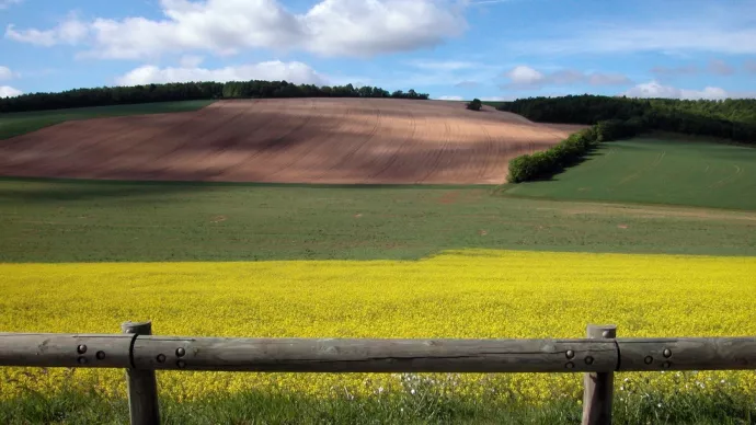 Crédit ci-après