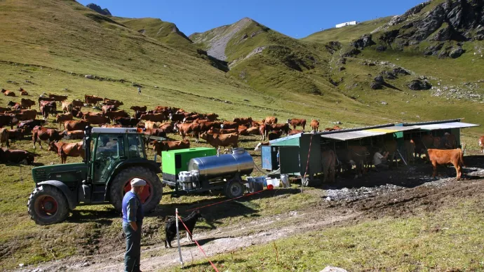 Crédit ci-après