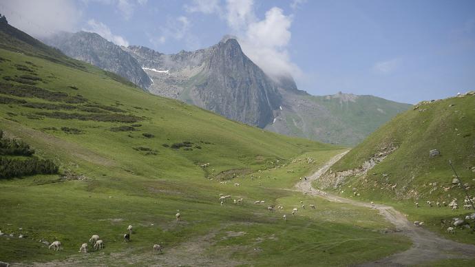 Une vallée verdoyante