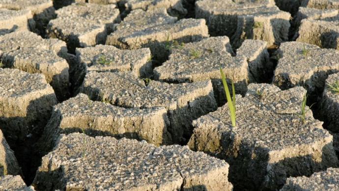 Sol en période de sécheresse