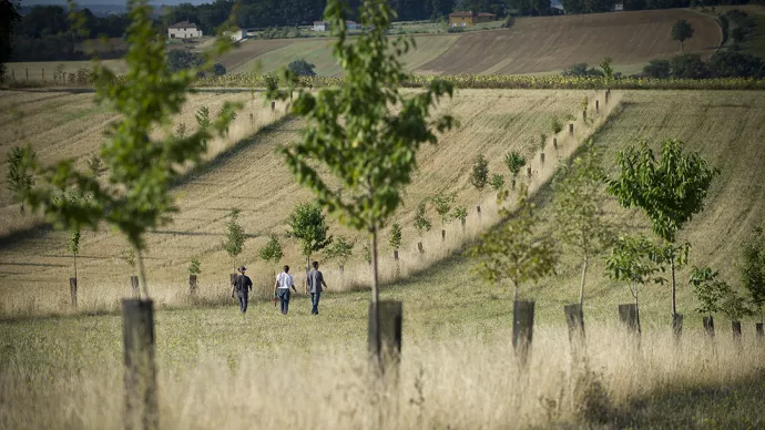 Trois agriculteurs dans un champ