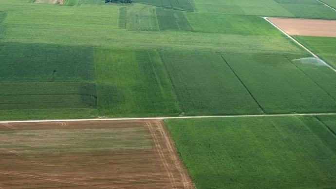 Crédits ci-après