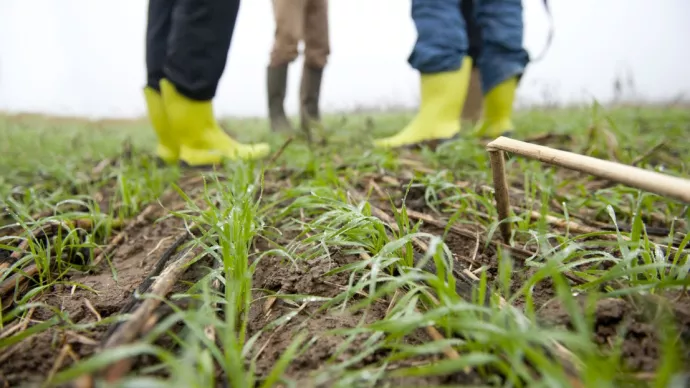 bottes d'agriculteurs dans un champ