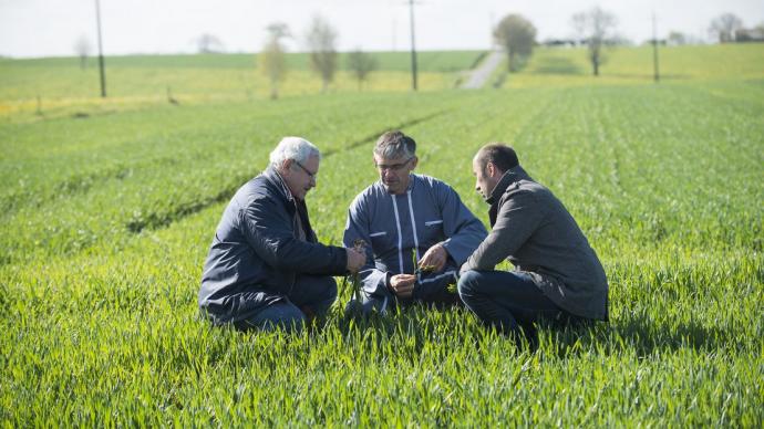 Crédit ci-après