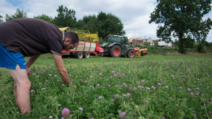 Crédit ci-après