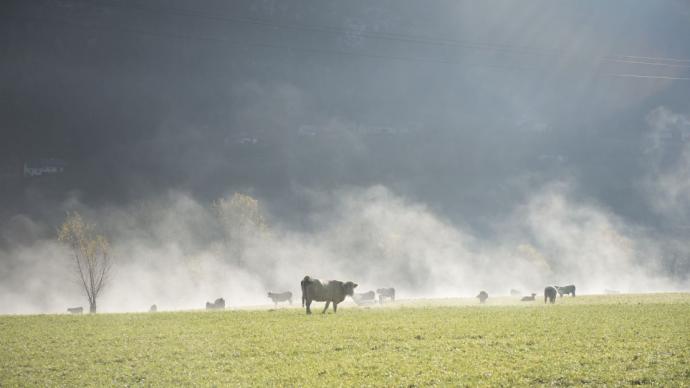 Crédit ci-après