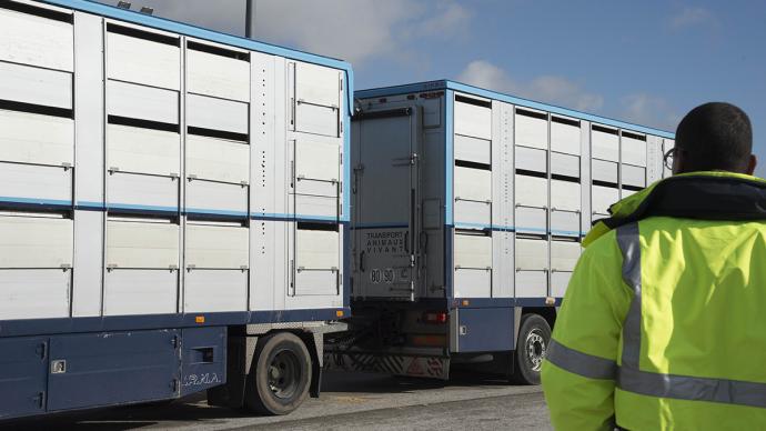 Transport d'animaux vivants