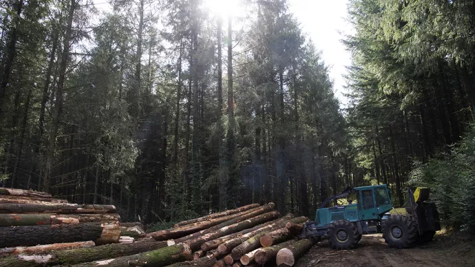 Un chantier forestier