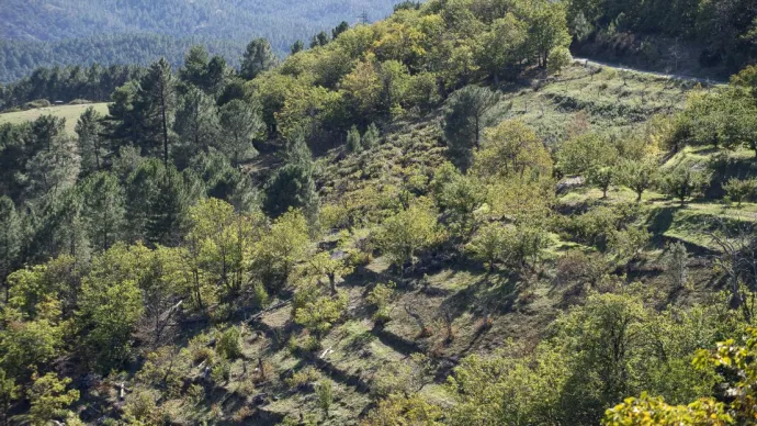 Crédit ci-après