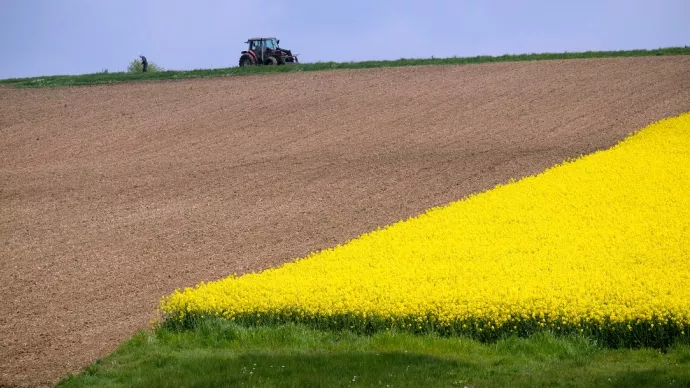 Tracteur près d'un champ de colza