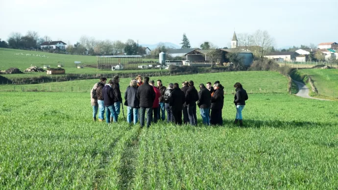 Groupe d'agriculteurs dans un champ